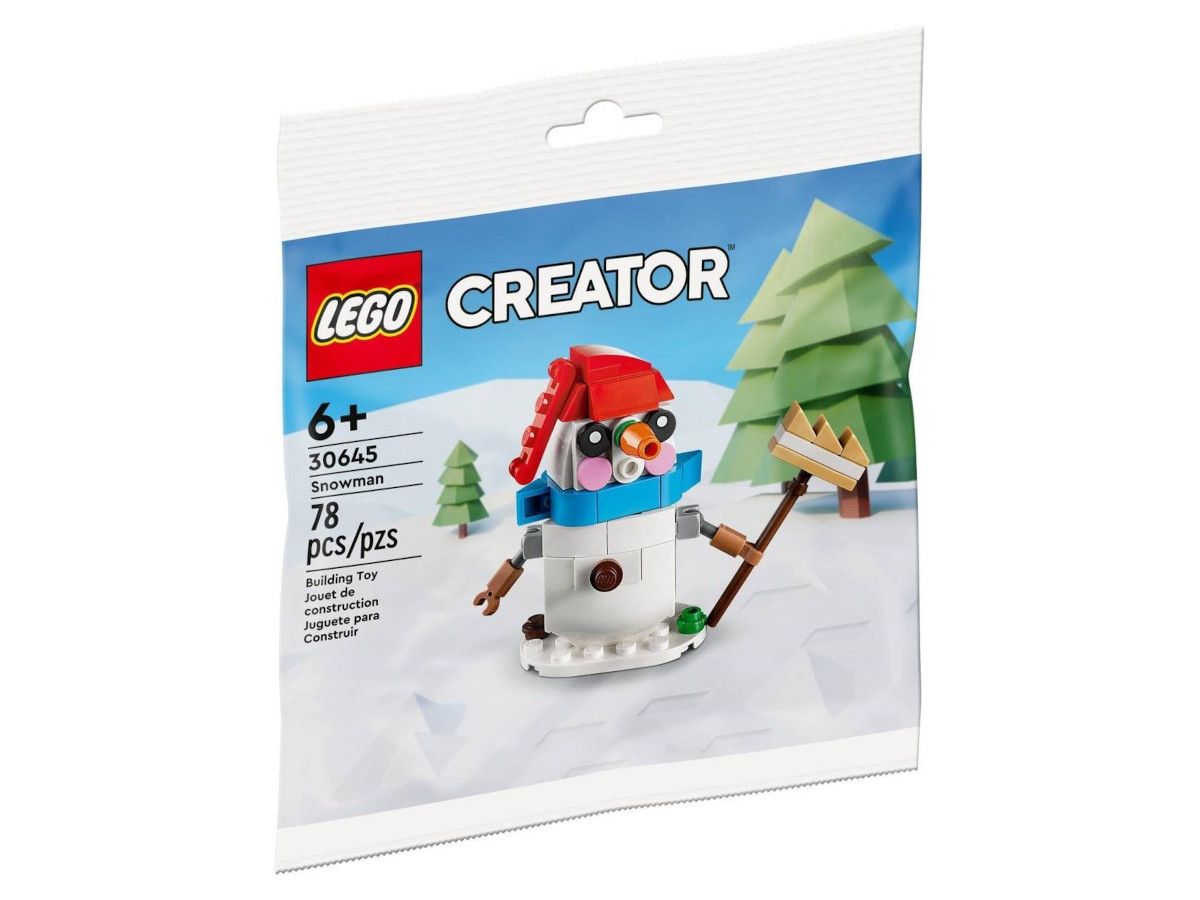 LEGO-30645