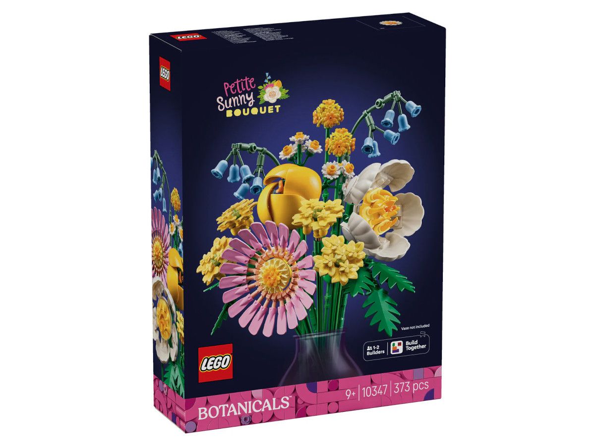 Lego-10347