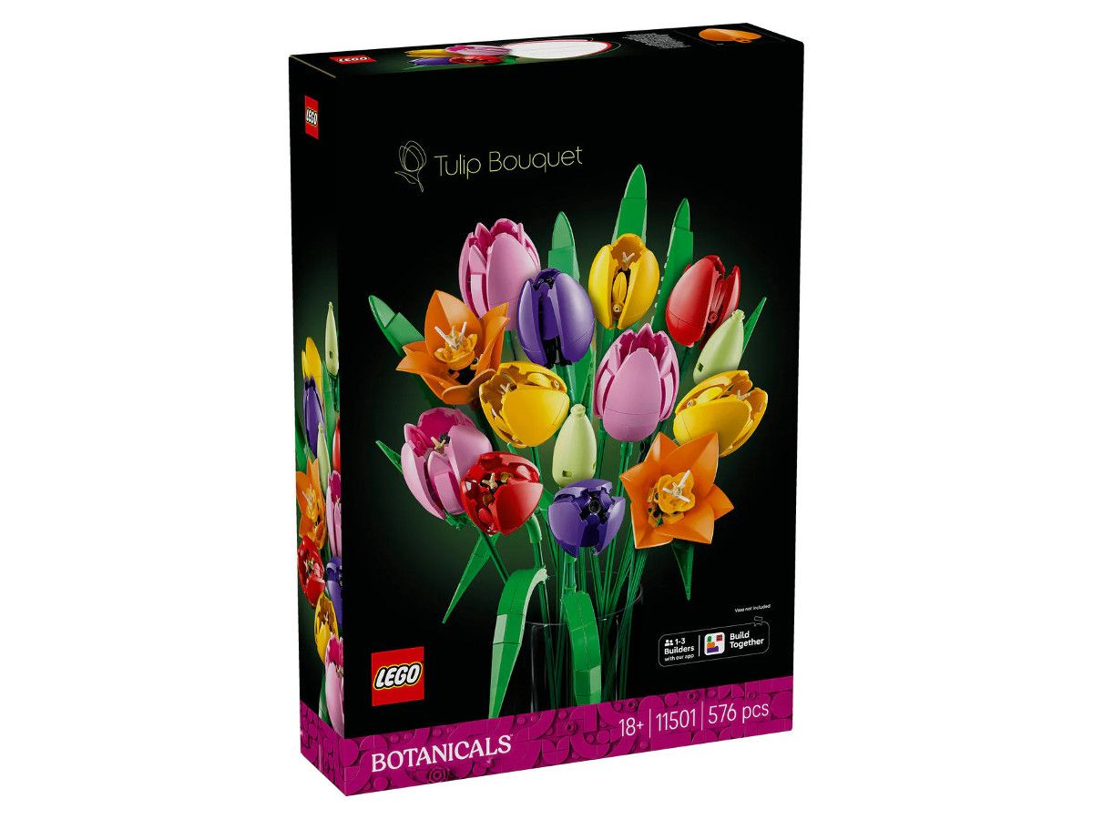 Lego-10501