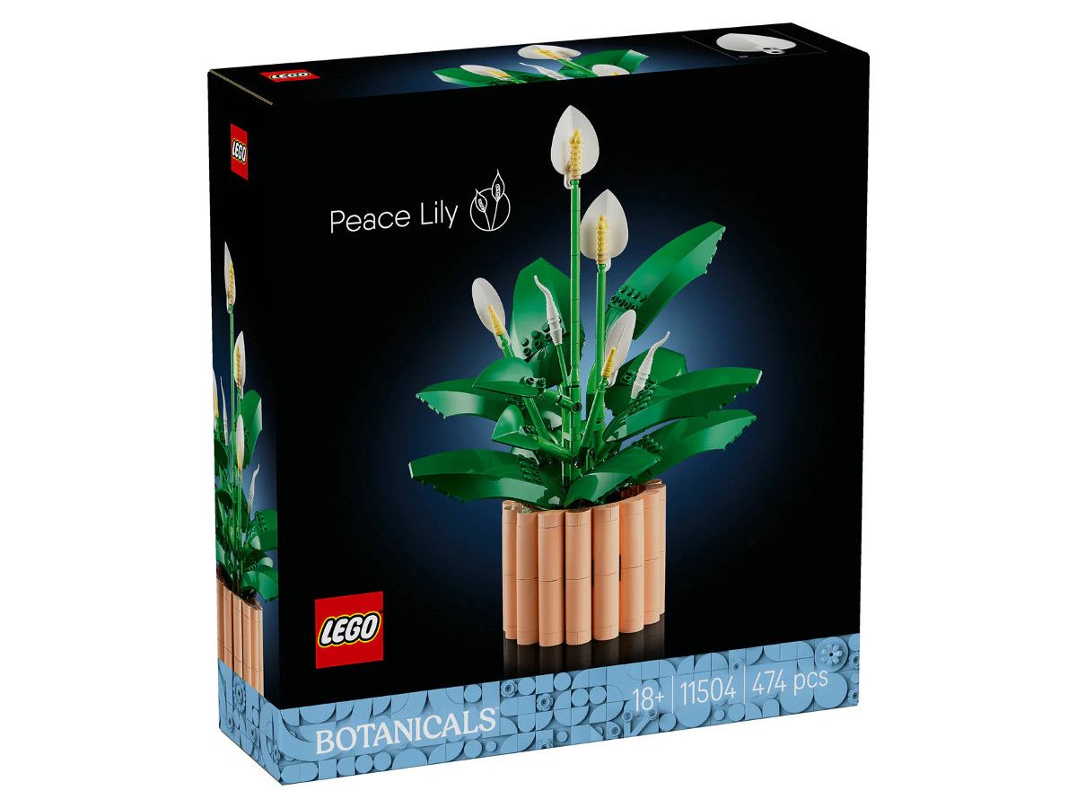 Lego-10504