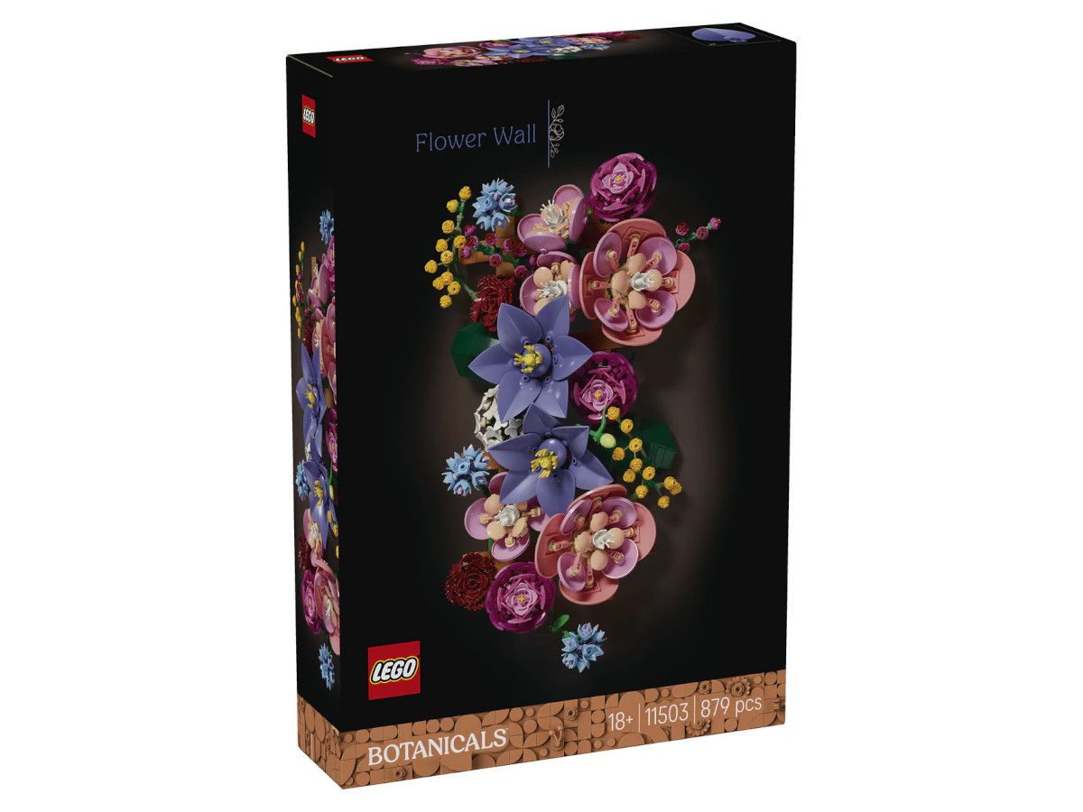 Lego-10503