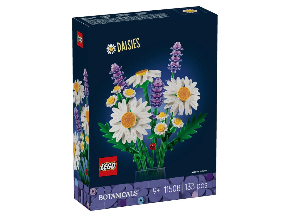 Lego-10507