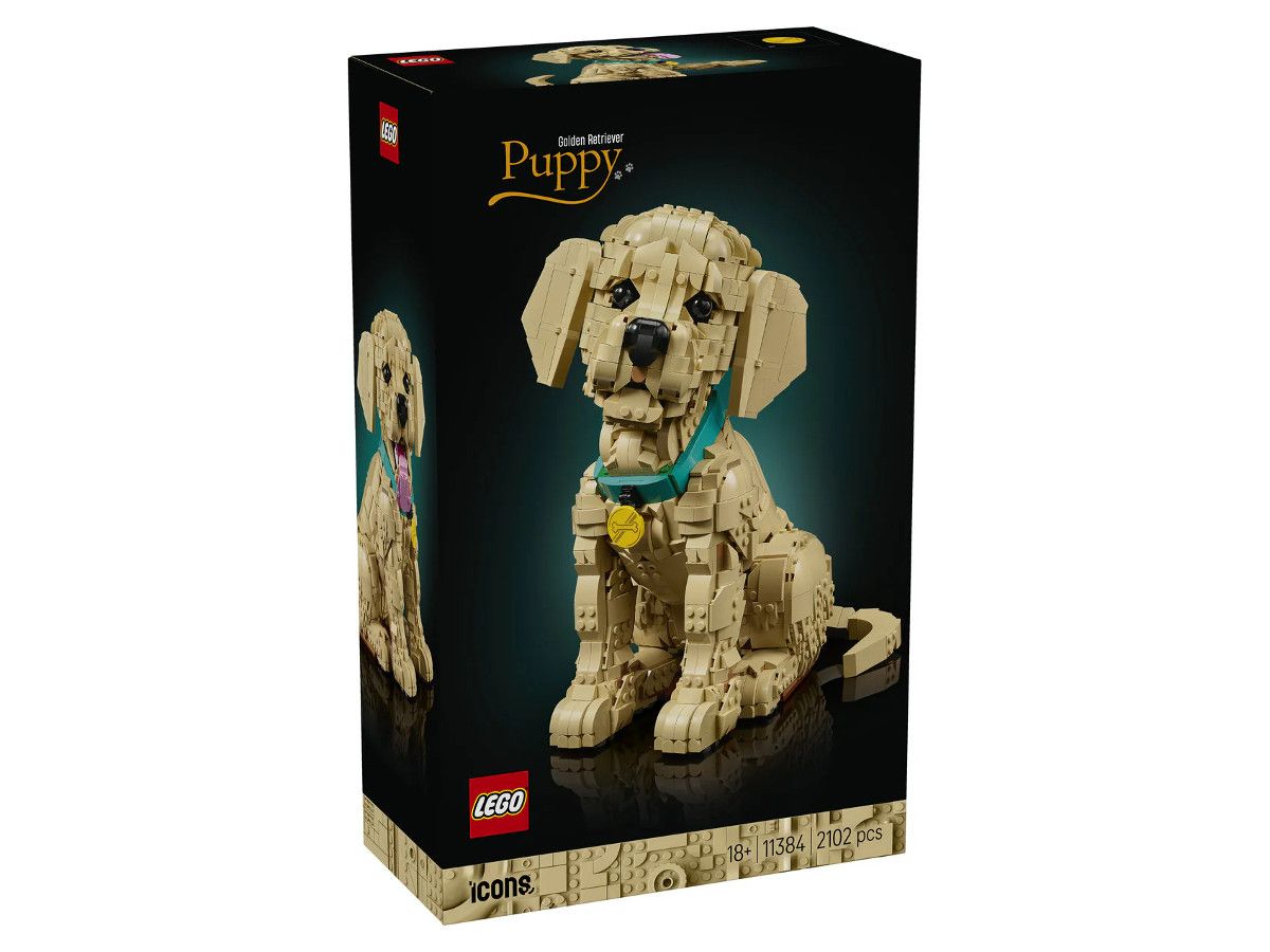 Lego 11384
