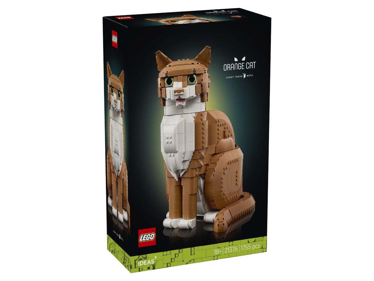 Lego-21376